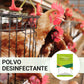 100 g Polvo Desinfectante para Granjas Avícolas y Equipos