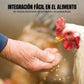 Aditivo Natural para Alimentación de Aves