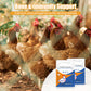 Suplemento para la salud de las patas en aves de corral y ganado