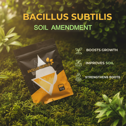 Enmienda de suelo Bacillus Subtilis