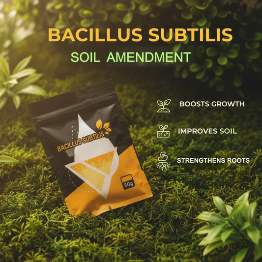 Enmienda de suelo Bacillus Subtilis