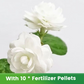 ✨🌸 Semillas de jazmín (con fertilizante): aromáticas y fáciles de cultivar🍃